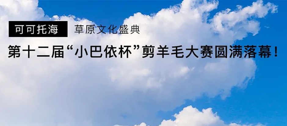 第十二届“小巴依杯”剪羊毛大赛精彩瞬间！